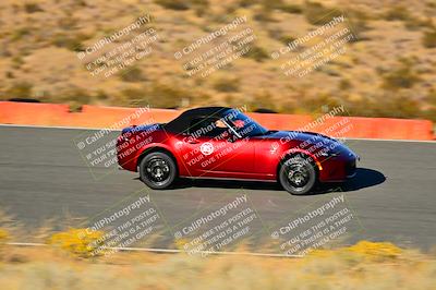 media/Nov-16-2024-Extreme Speed (Sat) [[6587d07cc4]]/Purple Group/Session 3 (The Bowl)/